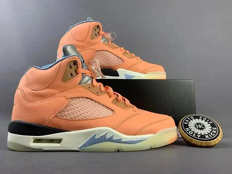 Jordan 5 photo 3